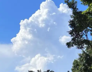 临沂天气预报,临沂7天天气预报,临沂15天天气预报,临沂天气查询